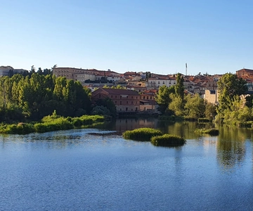Salamanca: Private tour of the most important sites