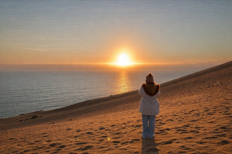 Santiago: Valparaiso, Llama Vineyard & Concon Dune Sunset