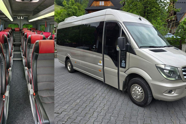 Zakopane: Snowmobile, Sleigh Ride, & Thermal Pools Tour