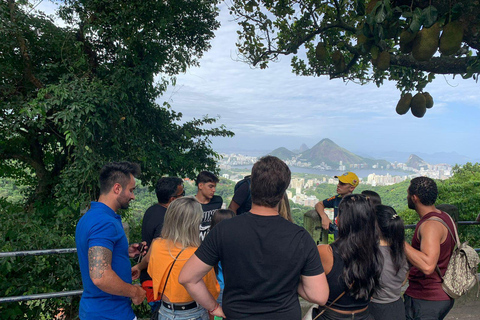 Rio de Janeiro: 3-godzinna wycieczka po faweli Rocinha z lokalnym przewodnikiem