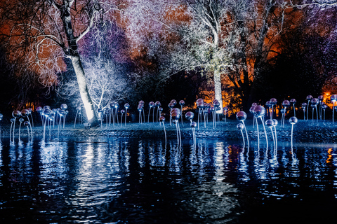 Amsterdam: 75 minut Amsterdam Light Festival z napojami