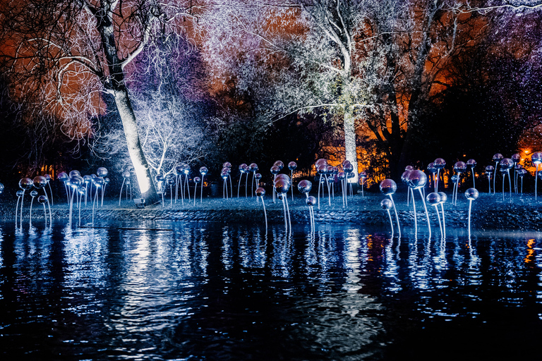 Amsterdam: 75 minuten Amsterdam Light Festival incl. drankjes