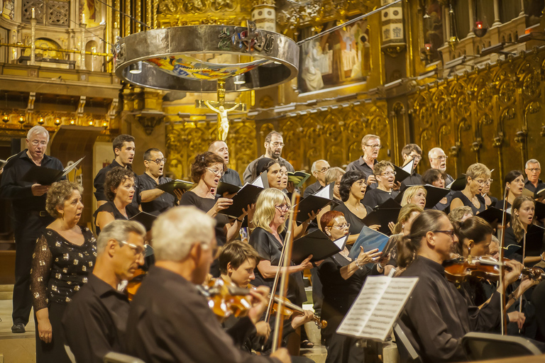 Tot Montserrat: Transport, Museum Tickets, and Lunch