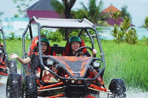 Bali: Buggy Ride with Waterfall Option Waterfalls only tour