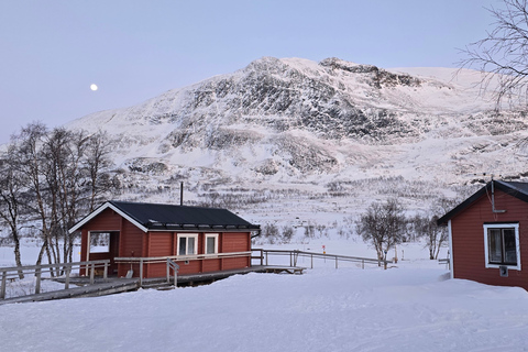 Abisko National Park: A snowshoe journey into the Arctic