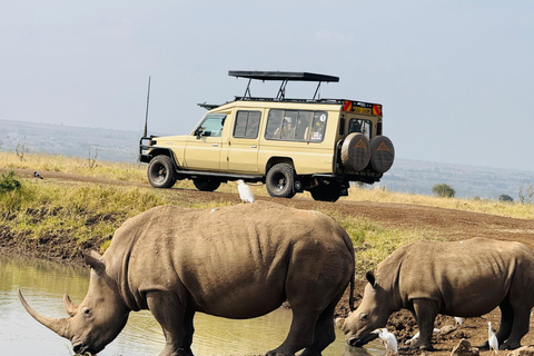 Nairobi Park Safari, Sheldrick's Orphanage & Giraffe Center Shared Drive in Open-Roof Van Game Drive