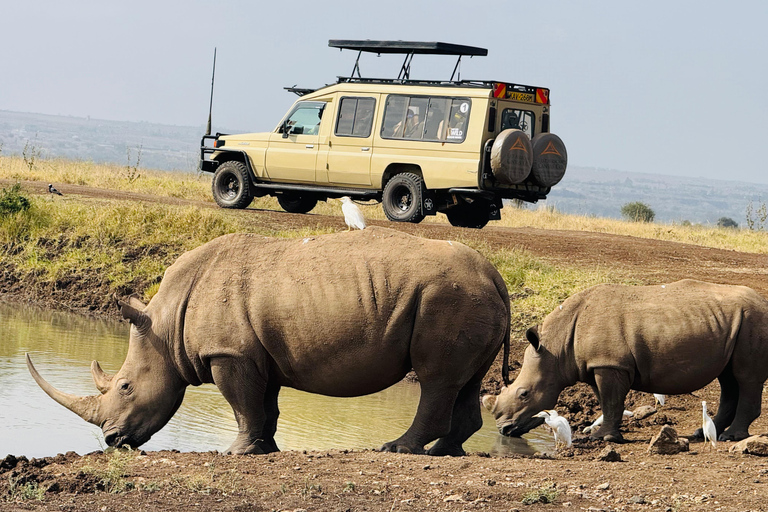 Nairobi Park Safari, Sheldrick's Orphanage & Giraffe Center Shared Drive in Open-Roof Van Game Drive