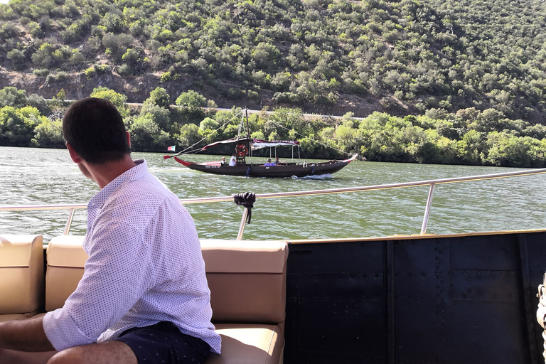 Porto: privétour door de Dourovallei met portproeverij en lunch