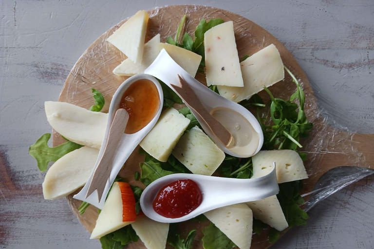 Firenze: tour guidato in bici elettrica nella campagna toscana con pranzo