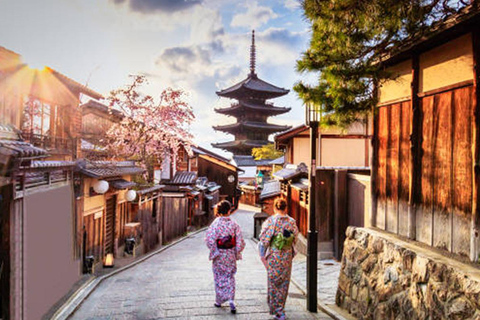Kyoto Gion: tour a piedi di 2 ore sulla cultura e la storia delle geisha
