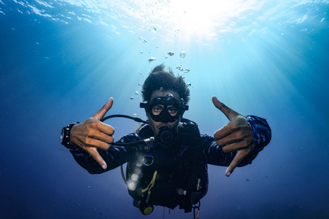 From Phi Phi: Half-Day Trip for Certified Divers (2 Dives) Afternoon Diving for Certified Divers (2 Dives)