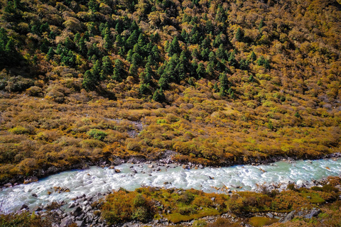 Pokhara : 6 jours de trek au LangtangPokhara : 6 jours de trek Langtang Service Package