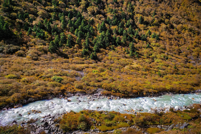 Pokhara: 6-dniowy trekking LangtangPokhara: 6-dniowy pakiet usług Langtang Trek