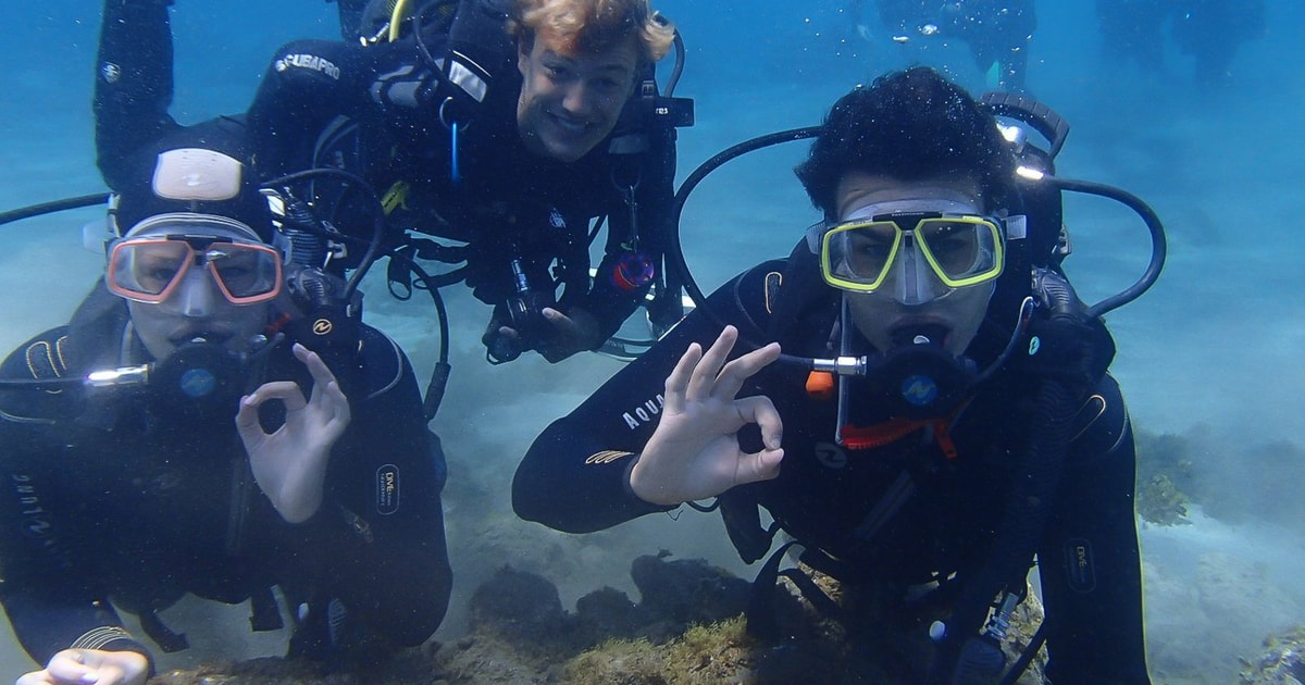 Gran Canaria Scuba Diving in the South of the Island GetYourGuide