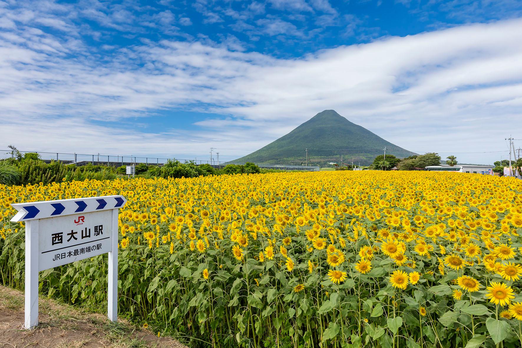 Kagoshima: Führung mit privatem Guide durch Ibusuki