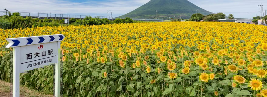 Kagoshima : visite de la ville d'Ibusuki et du mont Kaimon Dake