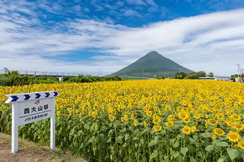 Kagoshima: Tour della città di Ibusuki e del Monte Kaimon Dake