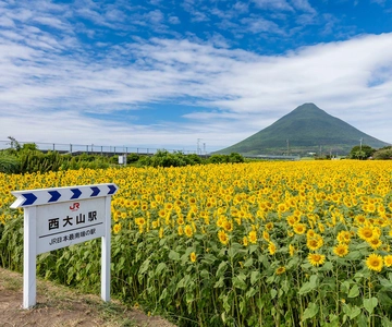 Kagoshima: Tour della città di Ibusuki e del Monte Kaimon Dake