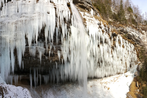 从卢布尔雅那出发：西特里格拉夫国家公园