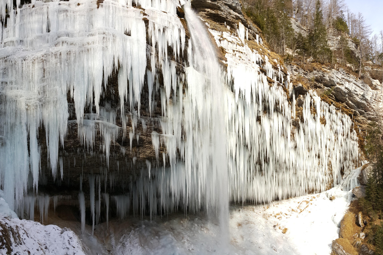 从卢布尔雅那出发：西特里格拉夫国家公园