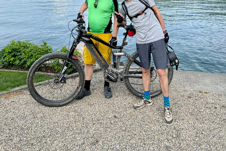Luzern: privé-tour met e-bike langs 4 meren en boottocht op het VierwoudstedenmeerLuzern: privé-tour met e-bike langs 4 meren en cruise op het Vierwoudstedenmeer