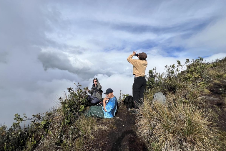 The Route of Water and Mist: Páramo Trek in Cruz Verde
