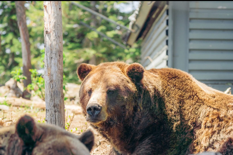 6 hour Private Tour of Vancouver & North Vancouver