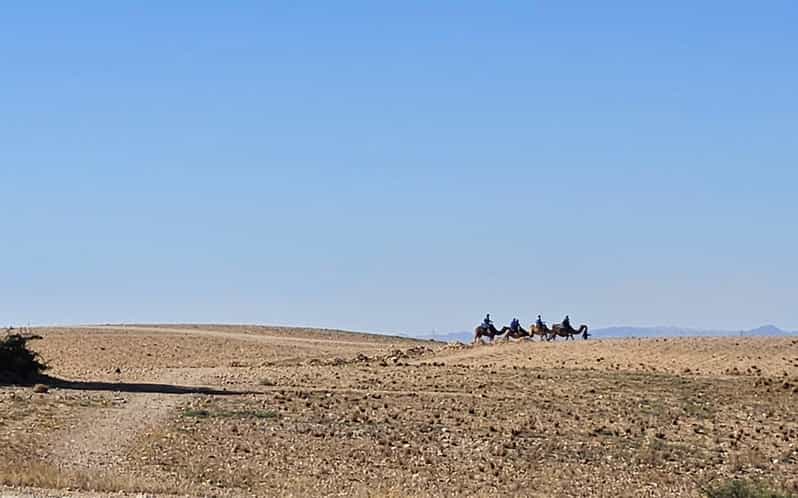 Agafya Desert Night life With Magic Dinner,Evening Excursion | GetYourGuide