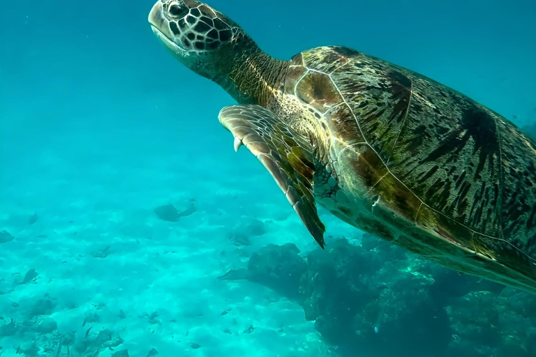 Phuket: Similan Islands Snorkeling Day Trip by Catamaran Phuket: Similan Islands Snorkeling Day Trip by Catamaran