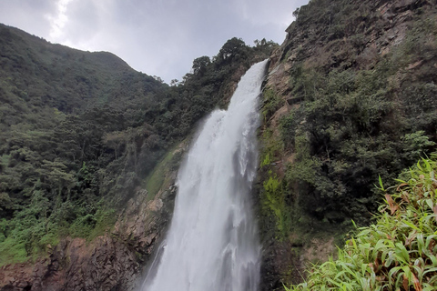 Caminhada em cachoeira e tirolesa saindo de Medellín ou Guatapé