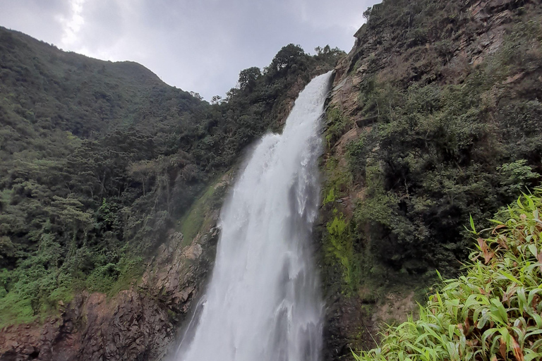 Caminhada em cachoeira e tirolesa saindo de Medellín ou Guatapé