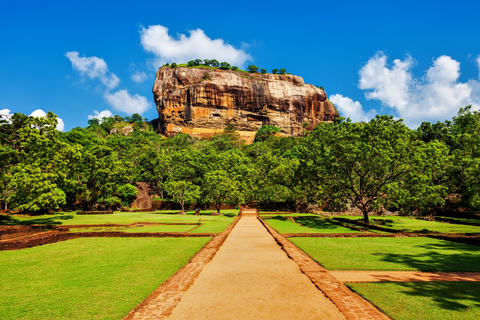 Kandy to Sigiriya Rock & Minneriya Safari: Privet Day Tour
