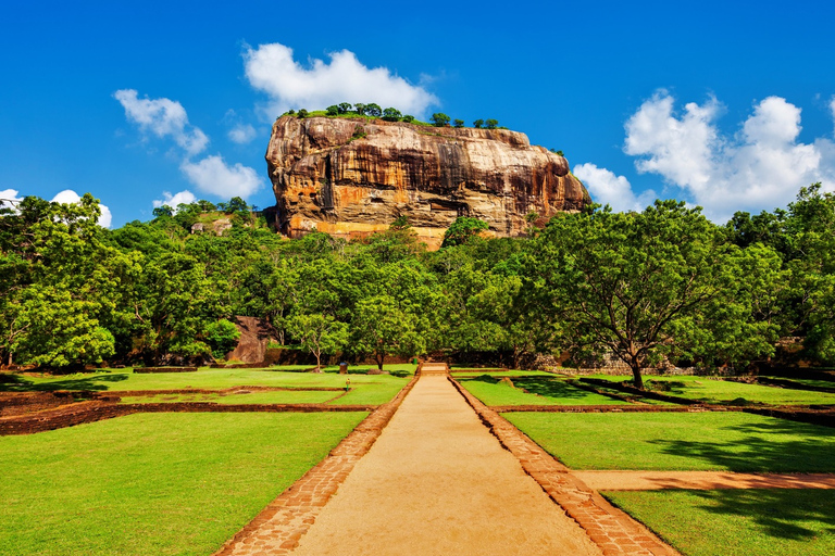 Kandy to Sigiriya Rock & Minneriya Safari: Privet Day Tour