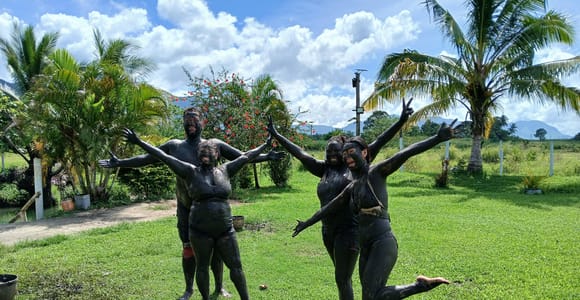 FIJI: Tifajek Mudpool & Hotspring Tickets, Tours & Transfers