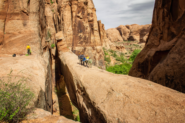 Moab: Barranquismo de Medio Día en la Gruta de la Efedra