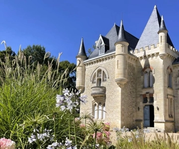 From Bordeaux: Afternoon Saint-Emilion Wine Tasting Trip