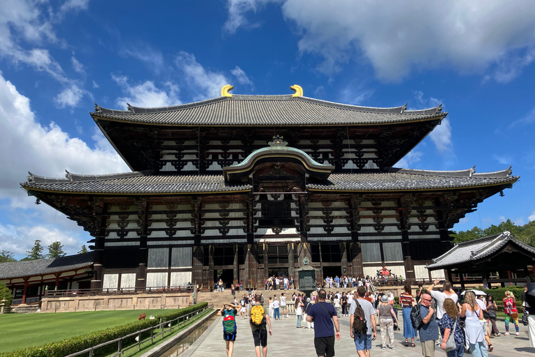 Nara Small Group Tour: Temples & Deer with a Licensed Guide Nara Walking Tour for Small Groups: Temples and Deer