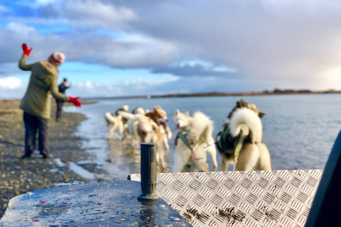 Island-Husky-Tour – Fahrt- und Kuschel-ErlebnisIsland: Husky-Schlittenfahrt und Kuschelerlebnis