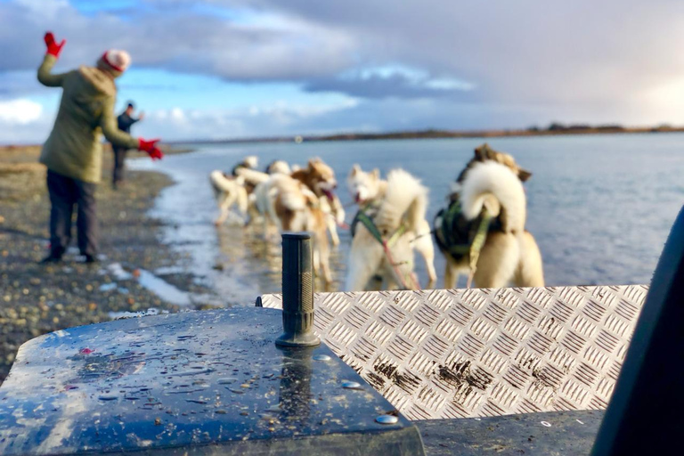 Island-Husky-Tour – Fahrt- und Kuschel-ErlebnisIsland: Husky-Schlittenfahrt und Kuschelerlebnis