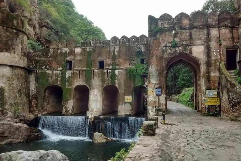 兰坦博尔国家公园：Canter Safari 门票（含接送）傍晚快速狩猎之旅门票：兰塔博尔国家公园