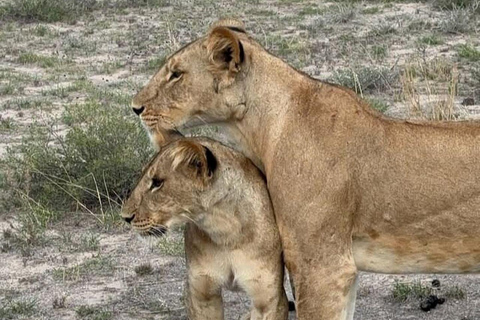 3 Days, 2 nights safari to Samburu National Reserve 3 Days private safari in a 4x4 Landcruiser jeep