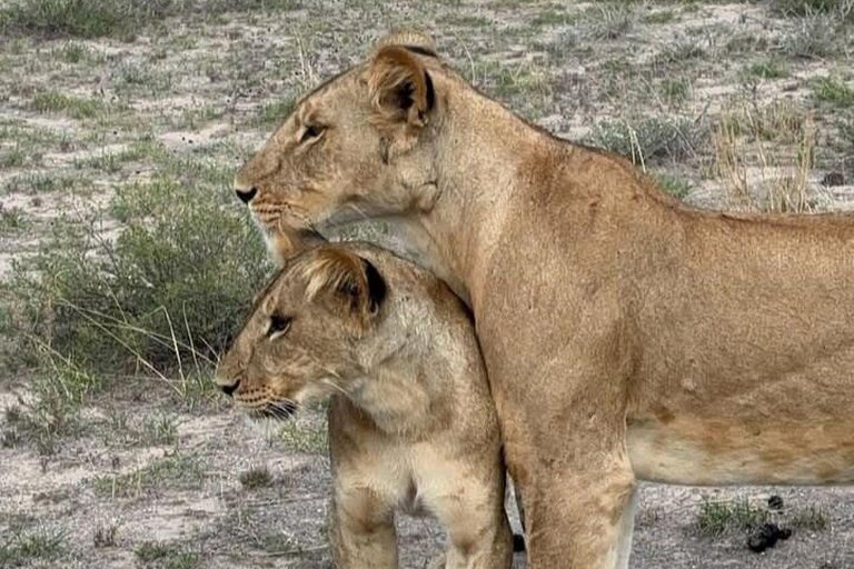 3 Days, 2 nights safari to Samburu National Reserve 3 Days private safari in a 4x4 Landcruiser jeep