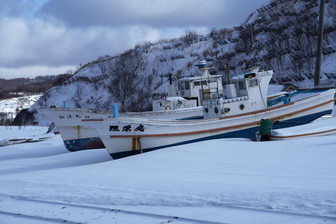 Tour di un giorno sugli sci di Hokkaido Niseko