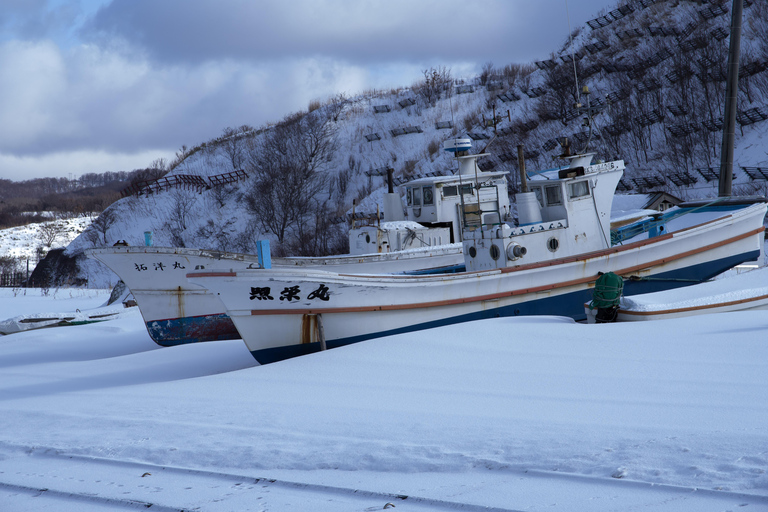 Tour di un giorno sugli sci di Hokkaido Niseko