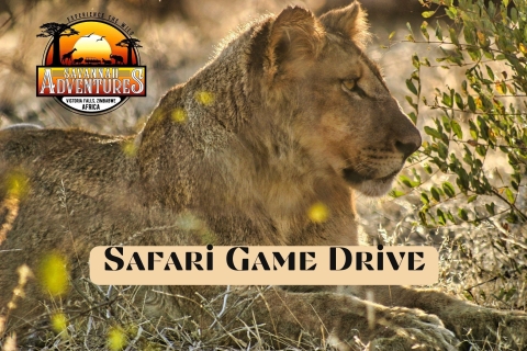 Cataratas Victoria: Safari en 4x4Tour en grupo reducido