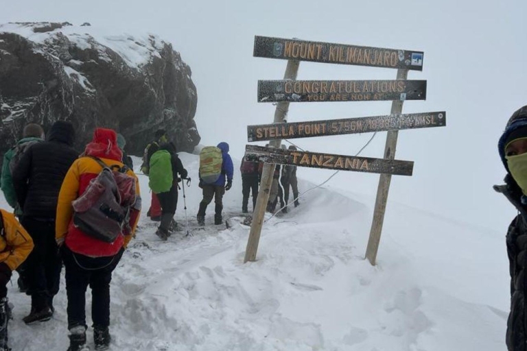 Senderismo por el Kilimanjaro: Ruta Machame de 7 díasSenderismo en el Kilimanjaro: Ruta Machame de 7 días (7+ personas)