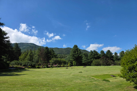 From Seoul: Garden of Morning Calm Day Tour by train