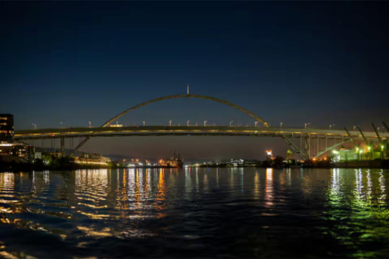 Portland: Private Pontoon Cruise on the Willamette River