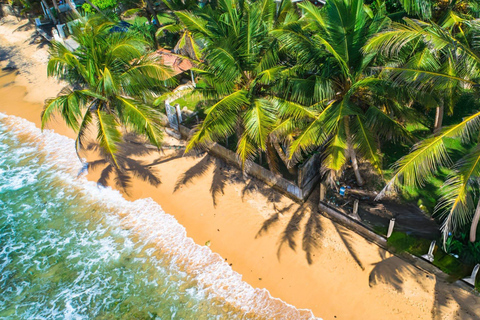 Coastal Escape: Colombo to Galle City Day Tour