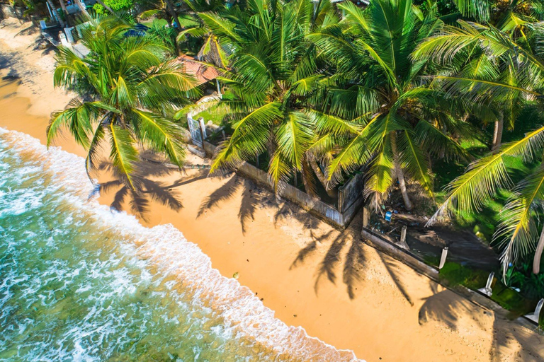 Coastal Escape: Colombo to Galle City Day Tour